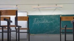 В нескольких районах Астраханской области школы отменили очный формат занятий