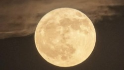 Над Астраханью взойдёт огромная Луна охотника