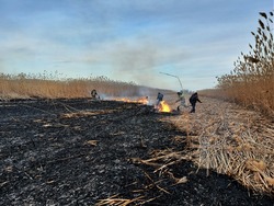 В Астраханском заповеднике случился пожар