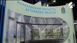 Астраханская область на ПМЭФ-2024 заключила контракты на 95 млрд рублей