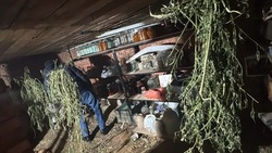 В доме у астраханца нашли более килограмма марихуаны