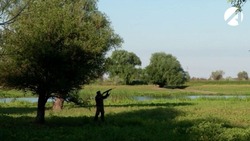 28 сентября в Астраханской области открывается сезон охоты