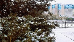 30 декабря в Астрахани снова будет снежно