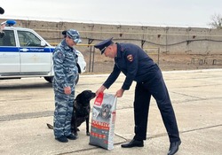Четвероногий сыщик ушёл на заслуженный отдых в Астрахани