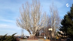 3 апреля в Астрахани сохранится тёплая погода