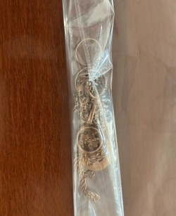 Астраханец украл у будущей тёщи украшения