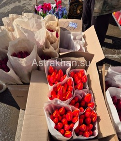 Сколько стоят тюльпаны в Астрахани 