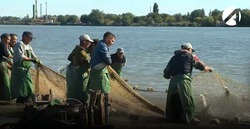 Какая рыба сейчас ловится в Астраханской области