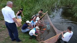Юные астраханцы спасли от замора тысячи мальков