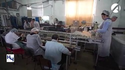 Около 500 рабочих мест в Астраханской области вакантны для трудоустройства инвалидов