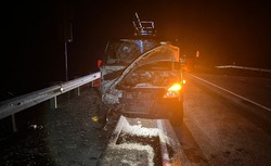 В Астраханской области «Газель» сбила лошадь