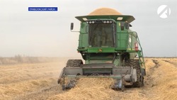 В Приволжском районе с гектара полей собирают 5 тонн риса