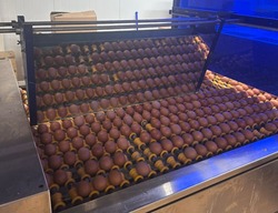 Астраханская птицефабрика восстанавливает цех после пожара