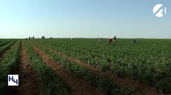 Участники проекта «Школа фермера» приступают к практике