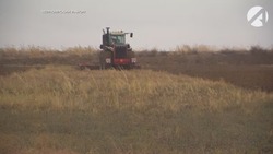 В Астраханской области построят два завода по хранению и переработке риса