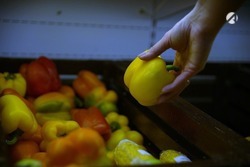 Врачи не рекомендуют астраханцам переводить детей на вегетарианство