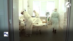 В России выявили два новых варианта коронавируса