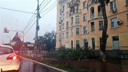 В Астрахани ликвидируют последствия урагана
