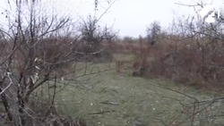 Для проведения сделок с земельными участками астраханцам нужно уточнить их границы