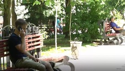 Накануне экзаменов в Астрахани активизировались мошенники