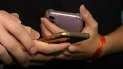 Перед 1 Сентября в Сети активизировались мошенники