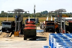 Завод по производству томатной пасты в Красноярском районе запустят в 2024 году 
