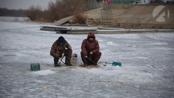 В Астраханской области рыба буффало не водится
