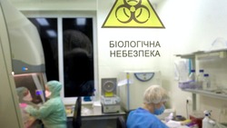 Минобороны вскрыло причастность бундесвера к биолабораториям на Украине