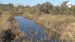 В 2024 году в Астраханской области введено в оборот более 4 тысяч гектаров земель