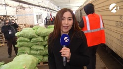 В Астрахань доставили 600 тонн молодого картофеля из Ирана