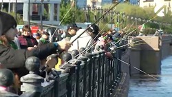 Как в Астрахани прошёл фестиваль «Вобла-2023»