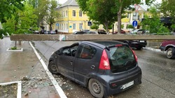 В центре Астрахани с корнем вырвало дерево и упал столб