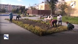 Астраханские коммунальщики готовят парки и скверы к холодам