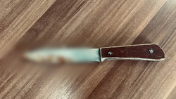 Астраханец ударил брата ножом в грудь