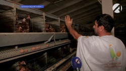 Астраханскую птицефабрику «Степная» посетил известный доктор сельхознаук