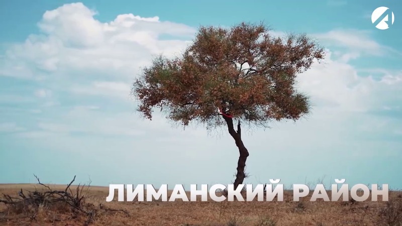 Лиманский район