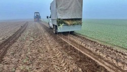 В Ставропольском крае восстановили 54 гектара лесов