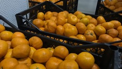 Астраханец пошёл на преступление ради цитрусовых