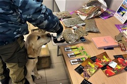 Астраханские таможенники пресекли иностранный канал контрабанды наркотиков