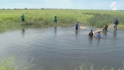 В Астраханской области продолжается работа по спасению рыбной молоди
