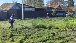 128 гектаров сорной травы скосили в Астрахани 