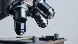 В Астраханской области зафиксировали случаи лихорадки Западного Нила