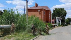 В Астрахани в июне прокошено 54 гектара камыша и травы