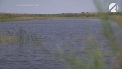 Астраханские водоёмы начинают вторую жизнь