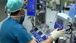 В России хотят установить уголовное наказание за ввоз вирусов