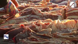 В Астраханской области пройдёт ещё одна сельскохозяйственная ярмарка