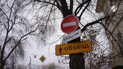 Астраханскую улицу перекроют для опиловки деревьев