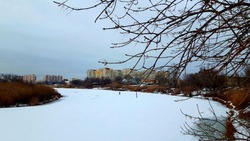 29 января в Астраханской области ожидается небольшой снегопад