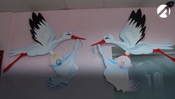 В августе в Астрахани появились на свет 828 малышей