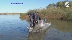 Инспекторы рыбоохраны ежедневно выявляют браконьеров на астраханских водоёмах 